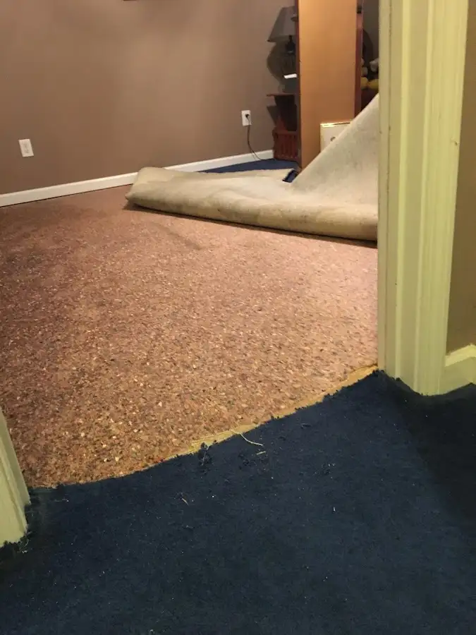 Carpet pad removal revealing water damage during Water Mitigation Services in Antwerp
