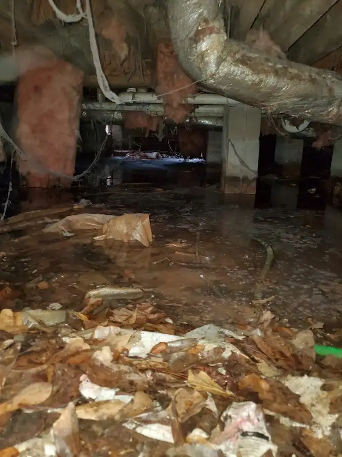 Crawl space flood assessment for Leak Detection & Repair in Antwerp