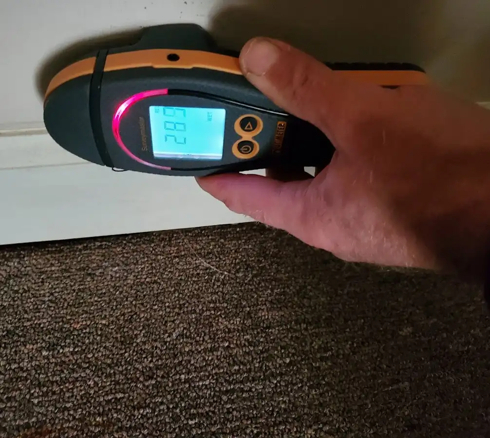 Moisture detection at baseboard during Mold Inspection & Testing in Antwerp